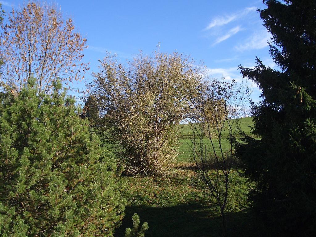 Gaestehaus Guggomos "Hopfen Am See" Fussen Bilik gambar