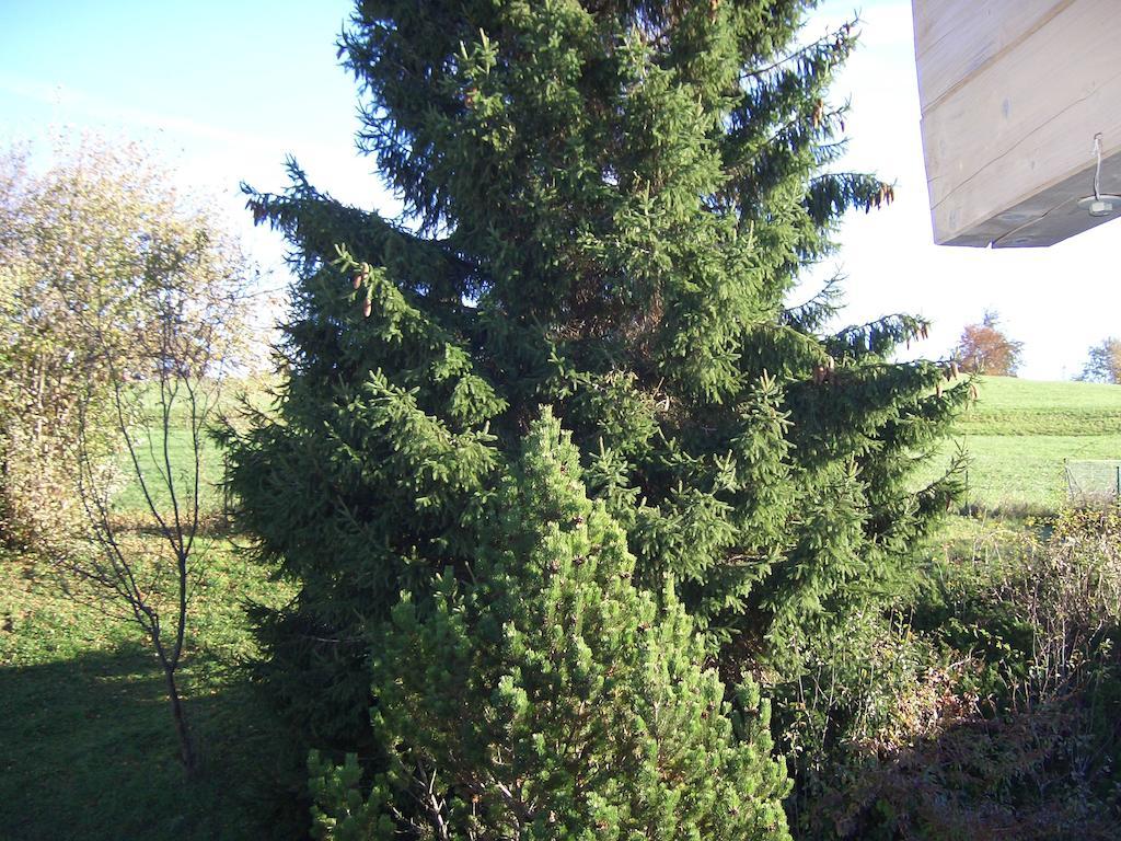 Gaestehaus Guggomos "Hopfen Am See" Fussen Luaran gambar